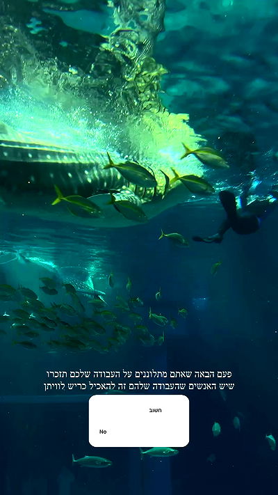 itsilanosh itsilanosh archive video