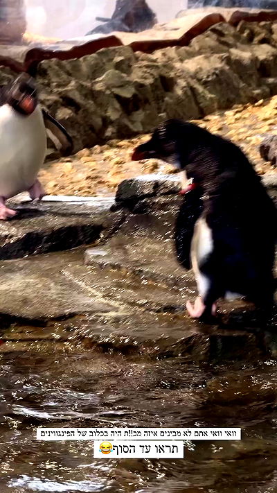 itsilanosh itsilanosh archive video