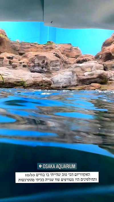 itsilanosh itsilanosh archive video