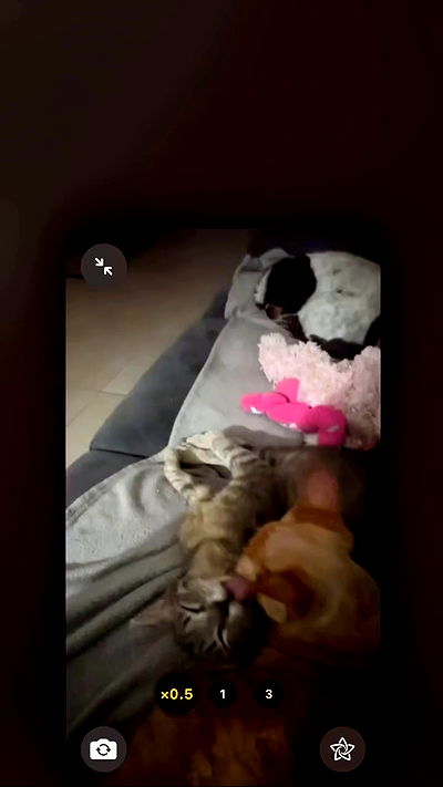 zlata_shipulin zlata_shipulin archive video