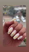 may__hillel Altpins Profile Picture