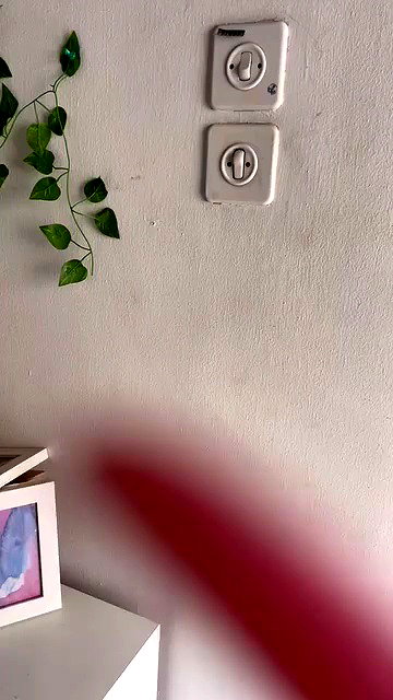 nokiicat archive video preview