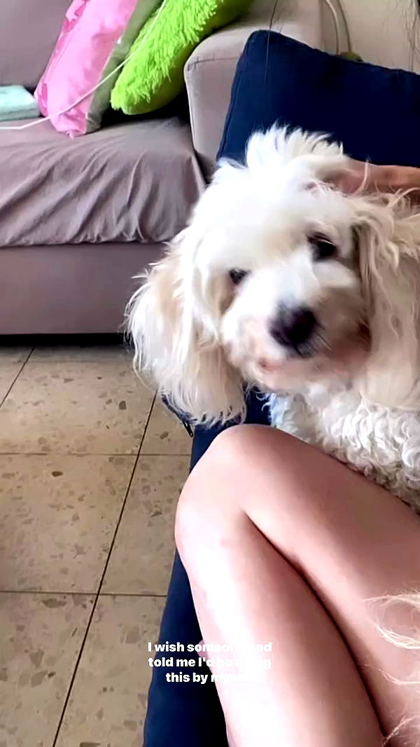 feelbetterinmysweater archive video preview