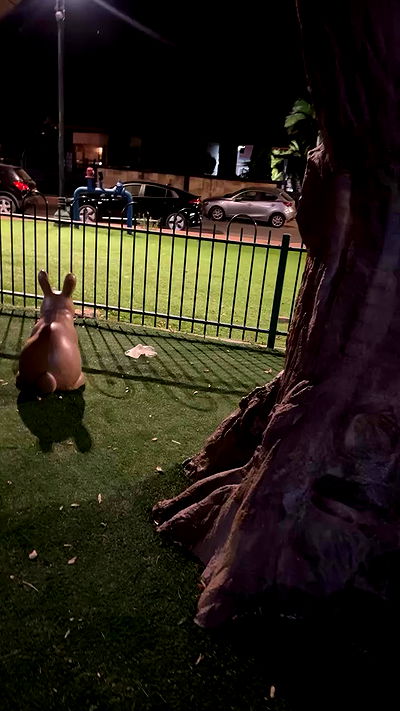 rinsrain rinsrain archive video