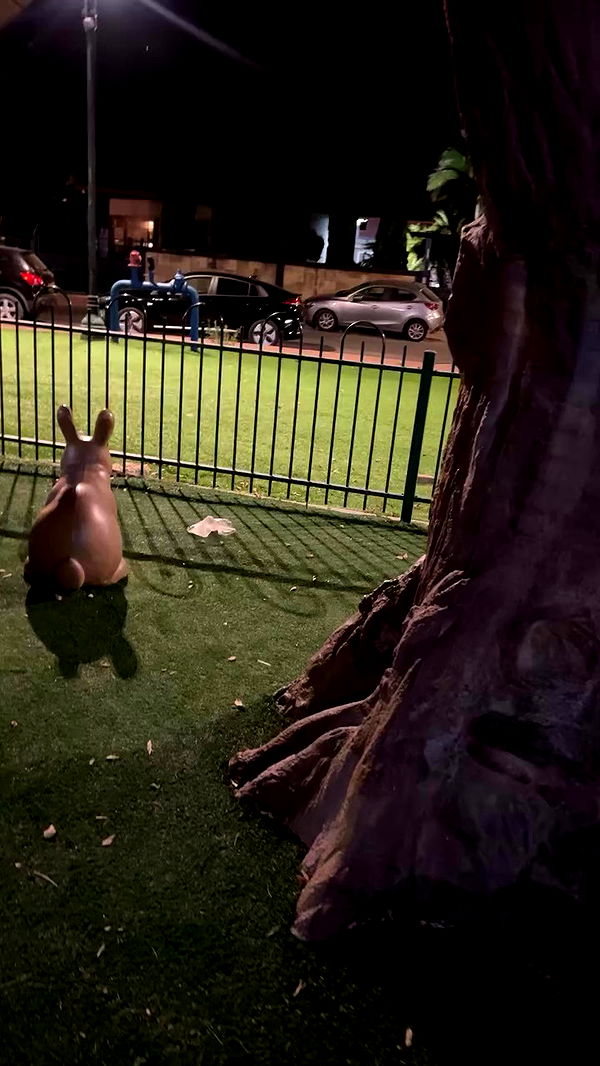 rinsrain archive video preview