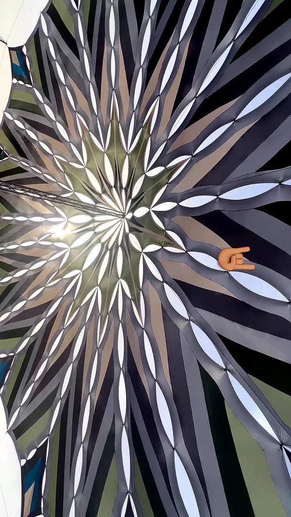 shir.albilia archive video preview