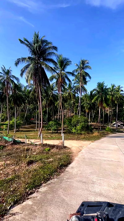 alice.skym alice.skym archive video