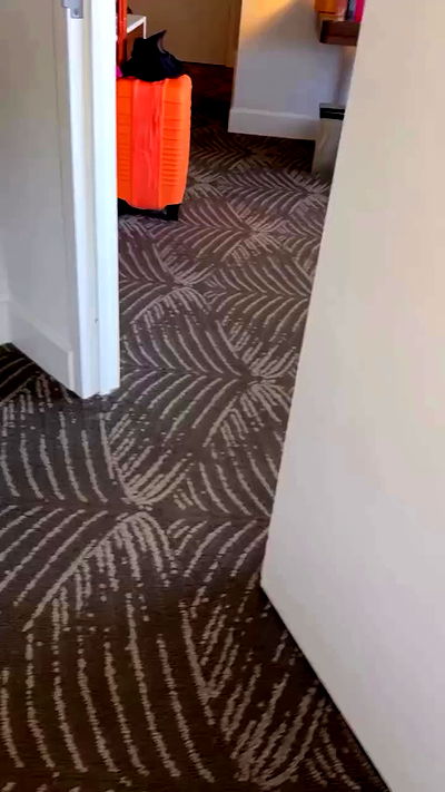 therealbrittfit therealbrittfit archive video