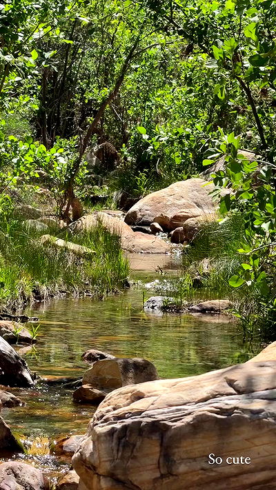 rachelc00k rachelc00k archive video