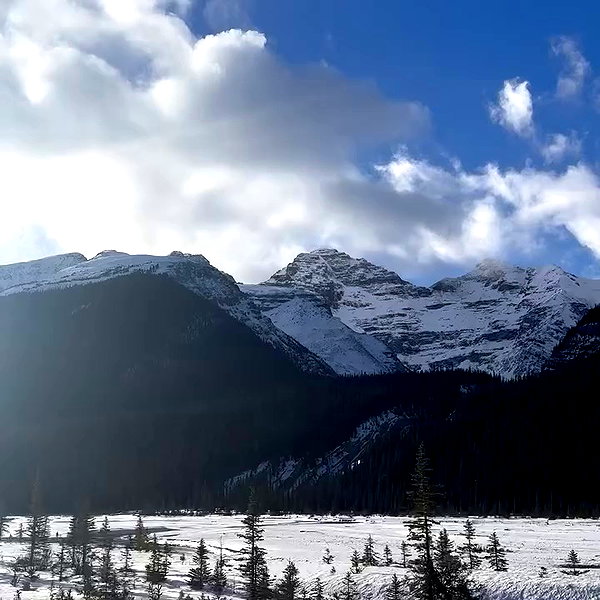 _dfoxx archive video preview