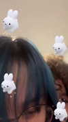 petitekitti Altpins Profile Picture