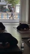 m.a_pilates_tlv Altpins Profile Picture