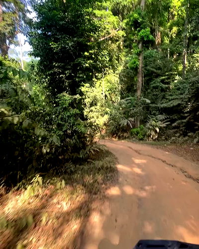 alice.skym alice.skym archive video