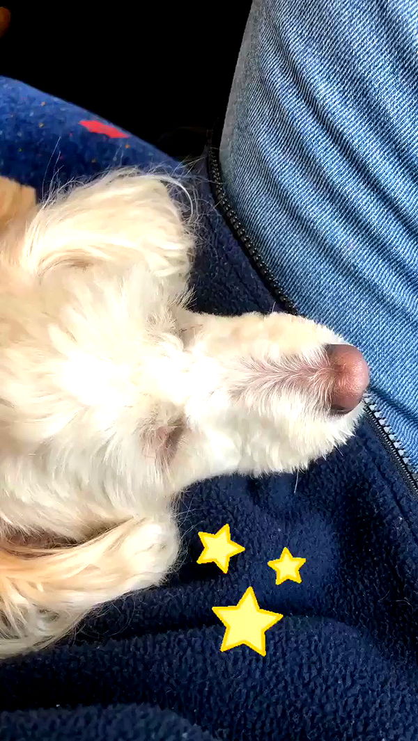 feelbetterinmysweater archive video preview