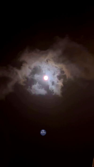 nicole.shpo nicole.shpo archive video