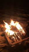 toharb_ Altpins Profile Picture