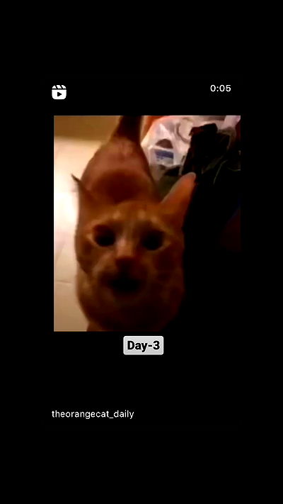 moonliliaght moonliliaght archive video