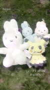 petitekitti Altpins Profile Picture