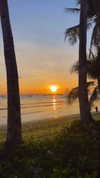 amit.yaron Altpins Profile Picture