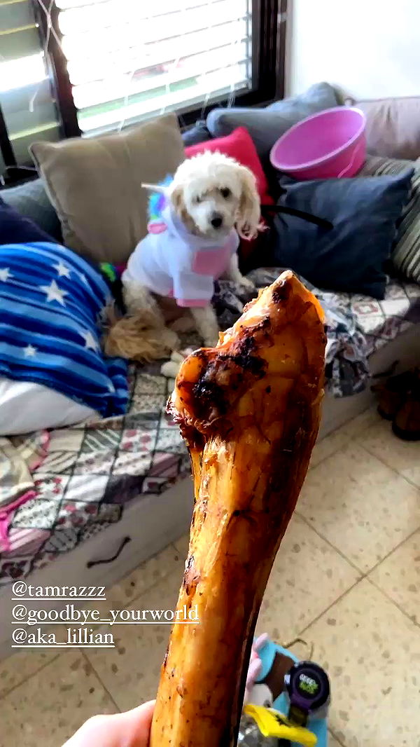 feelbetterinmysweater archive video preview