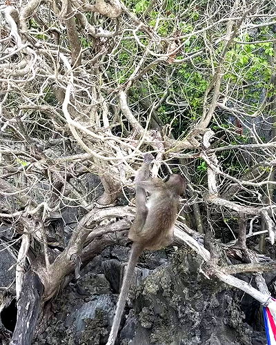 alice.skym alice.skym archive video