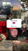 toharb_ Altpins Profile Picture