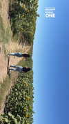 dafna_moshe_ Altpins Profile Picture
