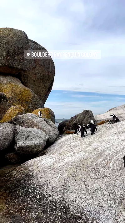 7lems7 7lems7 archive video