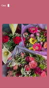 shailin_elisha Altpins Profile Picture