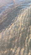 daniela.pritika Altpins Profile Picture