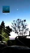 daniela.pritika Altpins Profile Picture