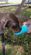noa_freund Altpins Profile Picture
