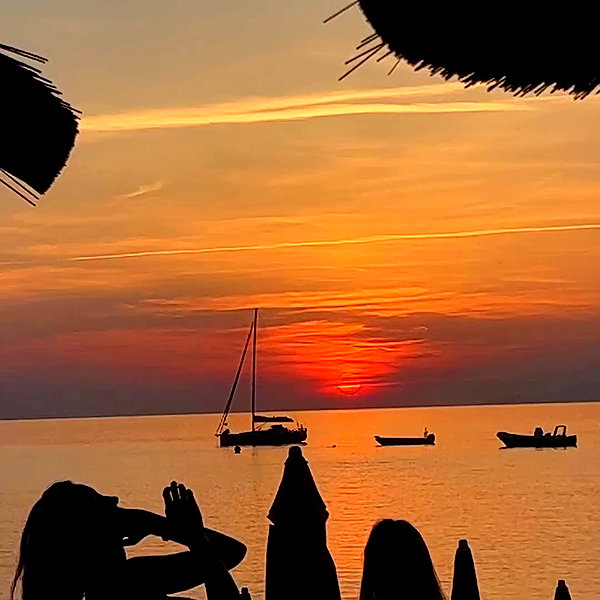 emiliawesolowski archive video preview