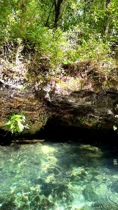 rachelc00k rachelc00k archive video