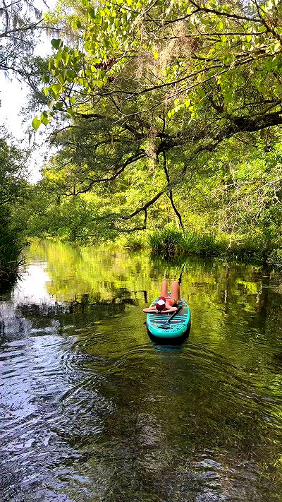 rachelc00k rachelc00k archive video