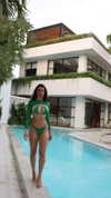elebertoli Altpins Profile Picture