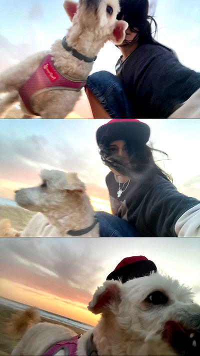 feelbetterinmysweater feelbetterinmysweater archive video