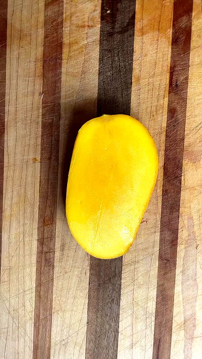 thelizzyporter thelizzyporter archive video