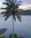 noa_mendel_ Altpins Profile Picture