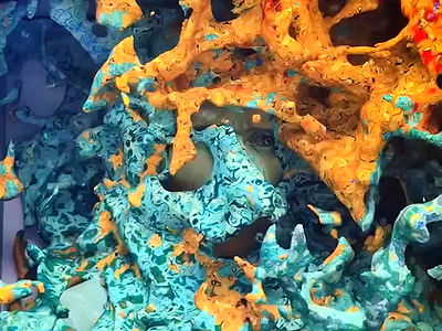 tinapavlov.sky tinapavlov.sky archive video