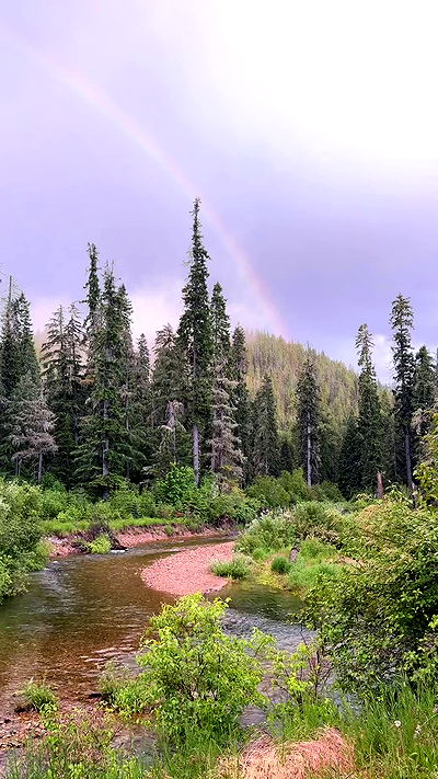 rachelc00k rachelc00k archive video