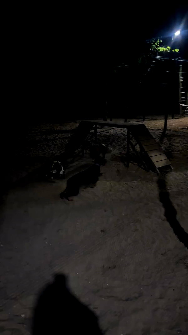 miss_baby007 archive video preview