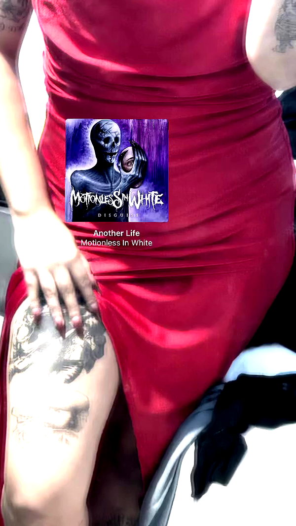 xfcknsh1t archive video preview