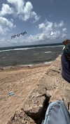 sasha53_8 Altpins Profile Picture