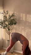 tohar.harosh Altpins Profile Picture