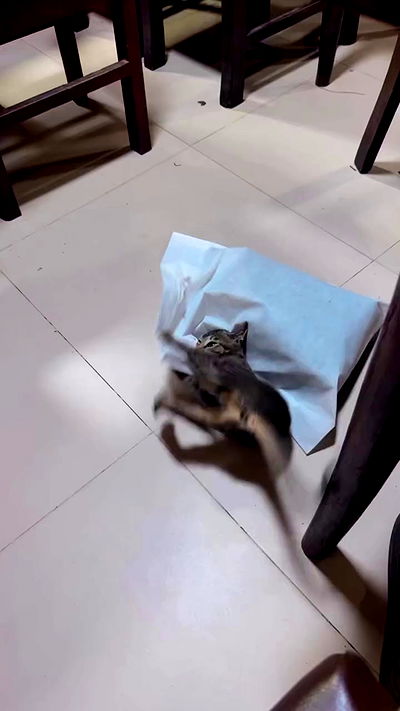 ronyida_ ronyida_ archive video