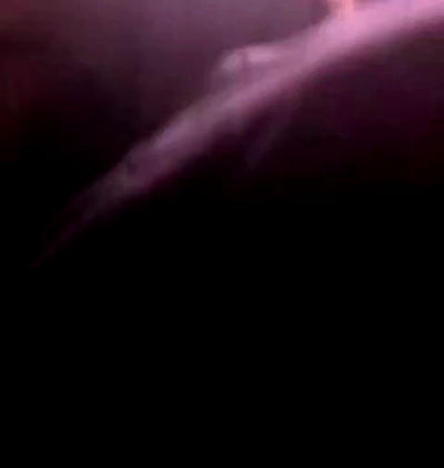 dakotabell05 dakotabell05 archive video