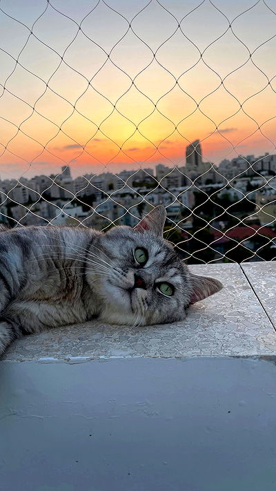 yuri.gever yuri.gever archive video