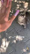 xxk1tty4nnaxx Altpins Profile Picture
