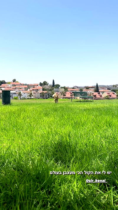 biton__adi biton__adi archive video